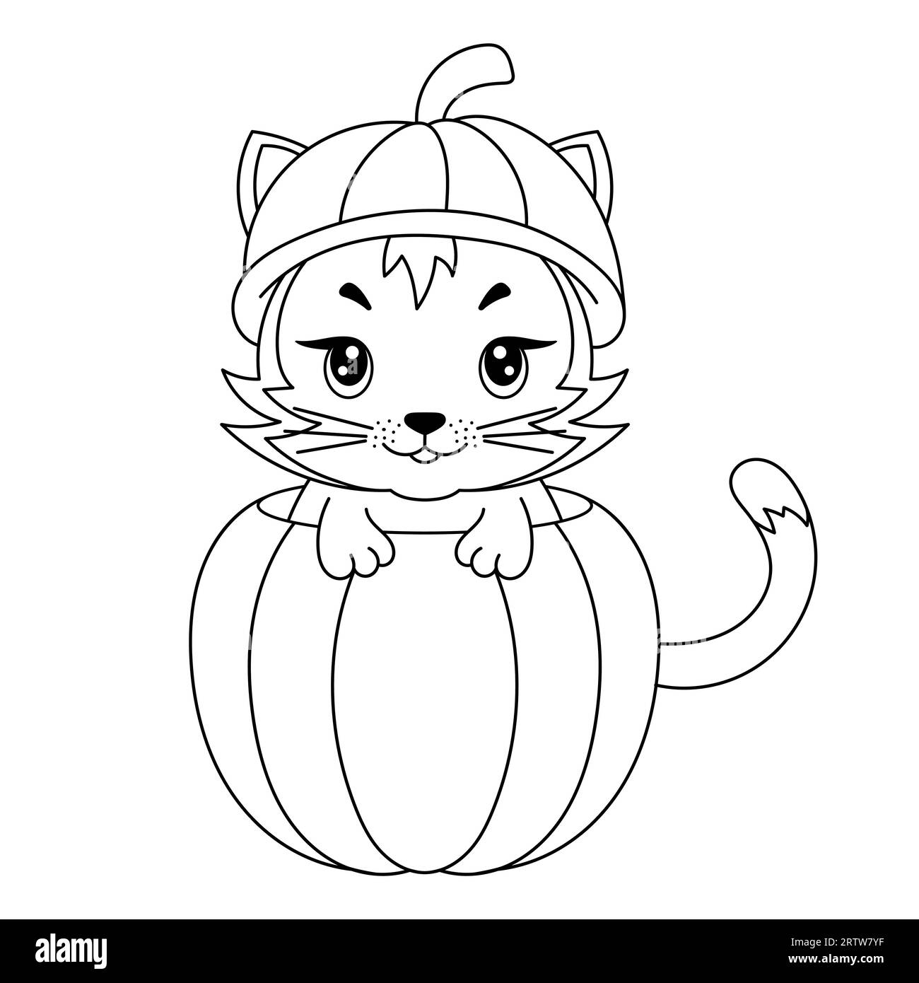 A Cat In The Pumpkin Coloring Book Coloring Page Black And White Vector Illustration Happy Halloween Stock Vector Image Art Alamy