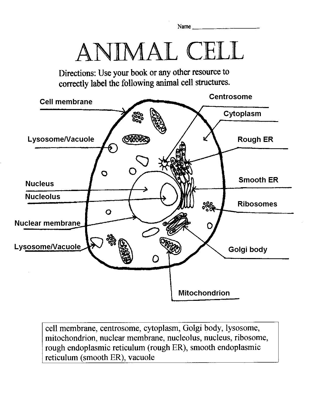 Animal Cell Worksheets Answer Key Cells Worksheet Animal Cell Worksheets Library
