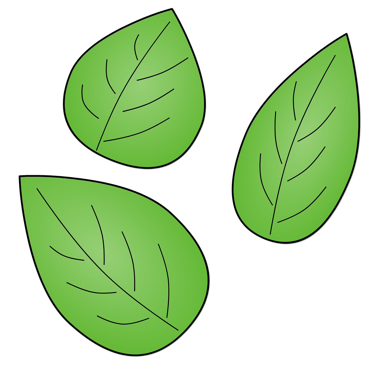 Cut Out Printable Green Leaves