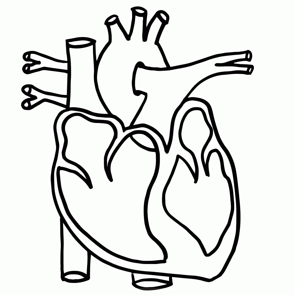 Free Black And White Heart Diagram Download Free Black And White Heart Diagram Png Images Free ClipArts On Clipart Library