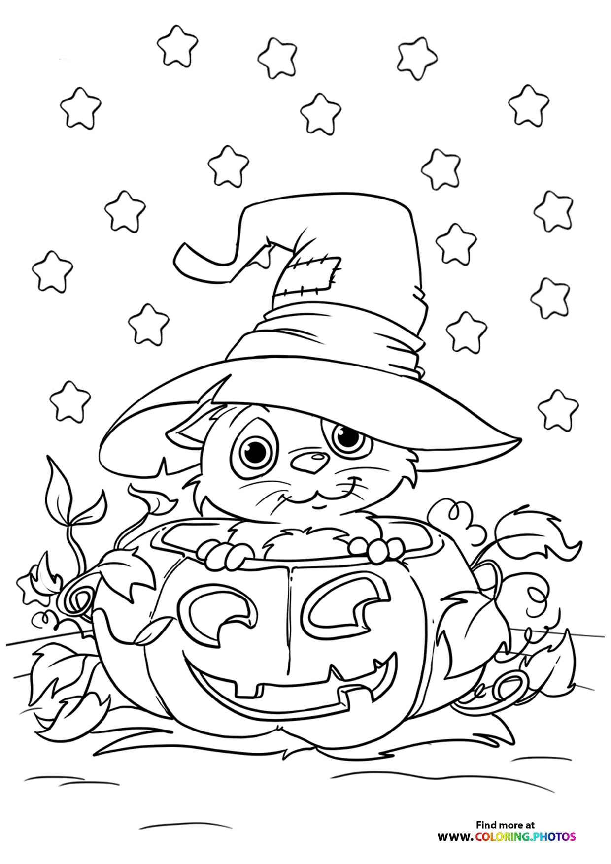 Hallween Cat In A Pumpkin Coloring Pages For Kids