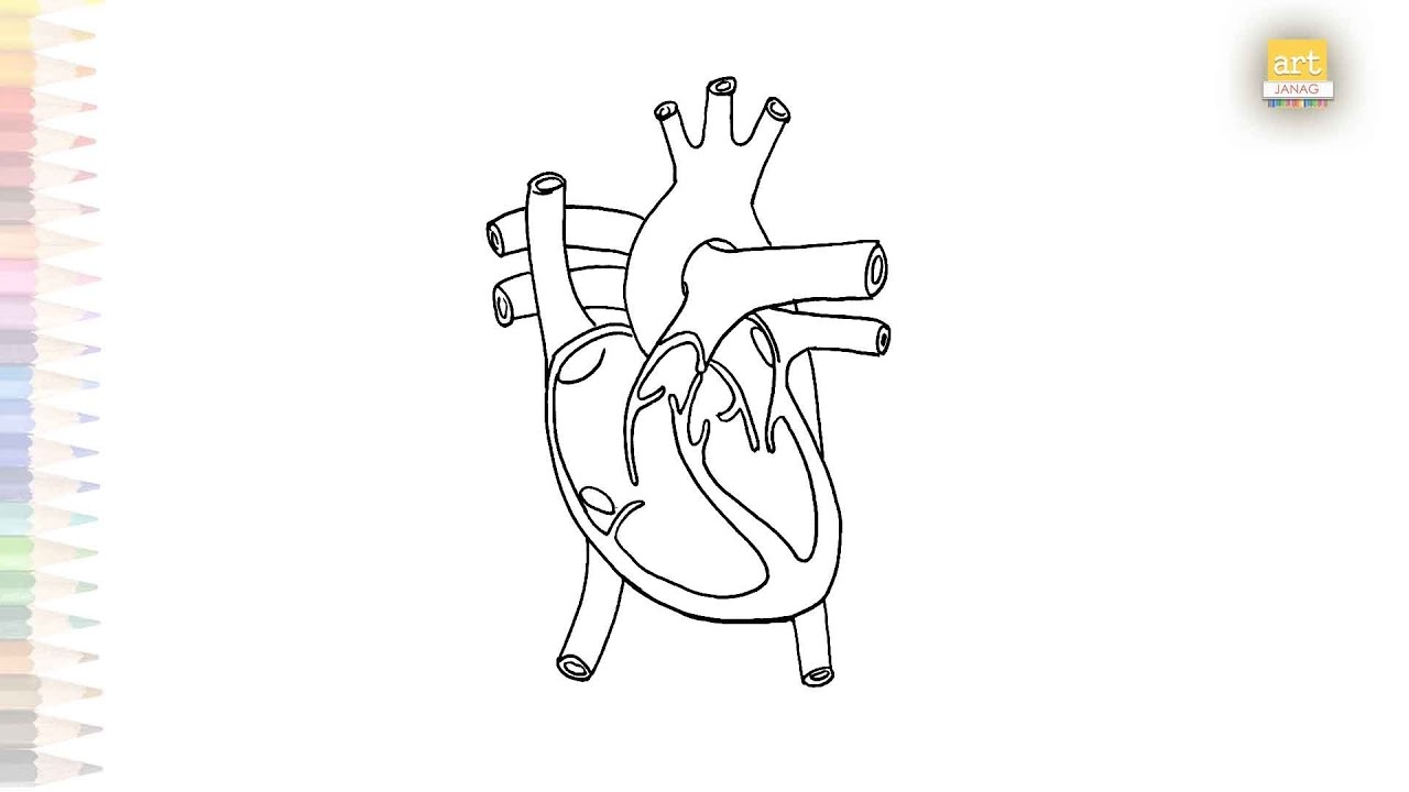 Blank Diagram Of The Heart