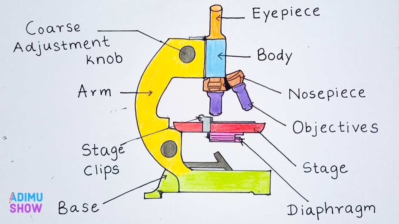 Drawing Of A Microscope With Labels