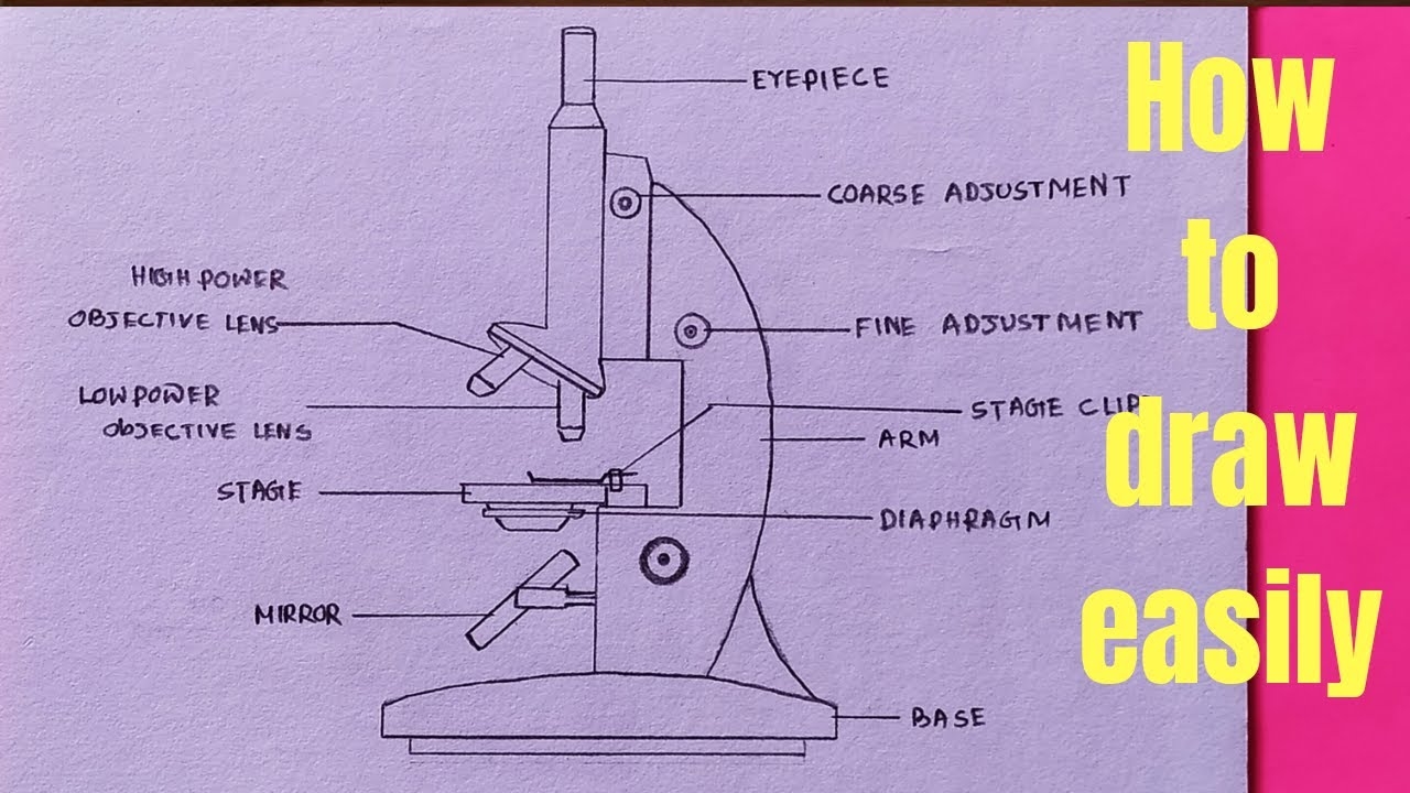 How To Draw Microscope Diagram For Beginners Step By Step YouTube