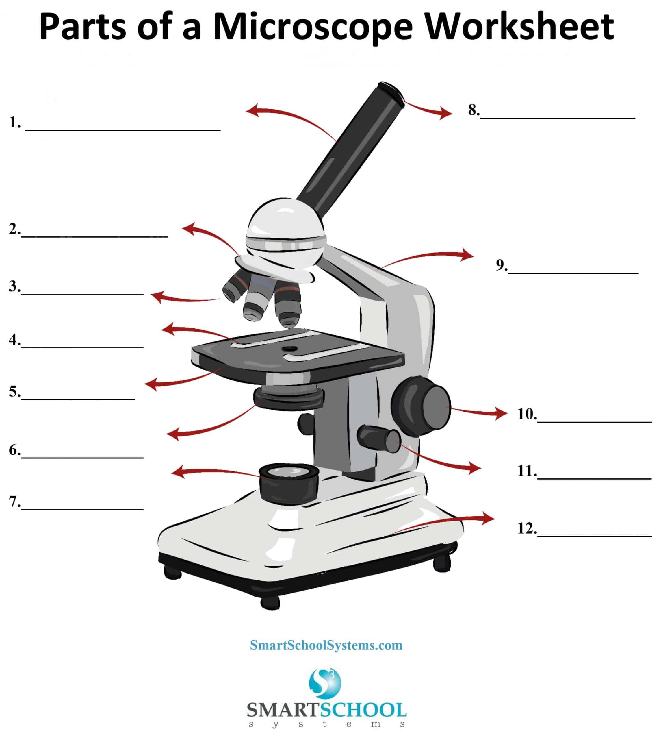 Picture Of Microscope To Label