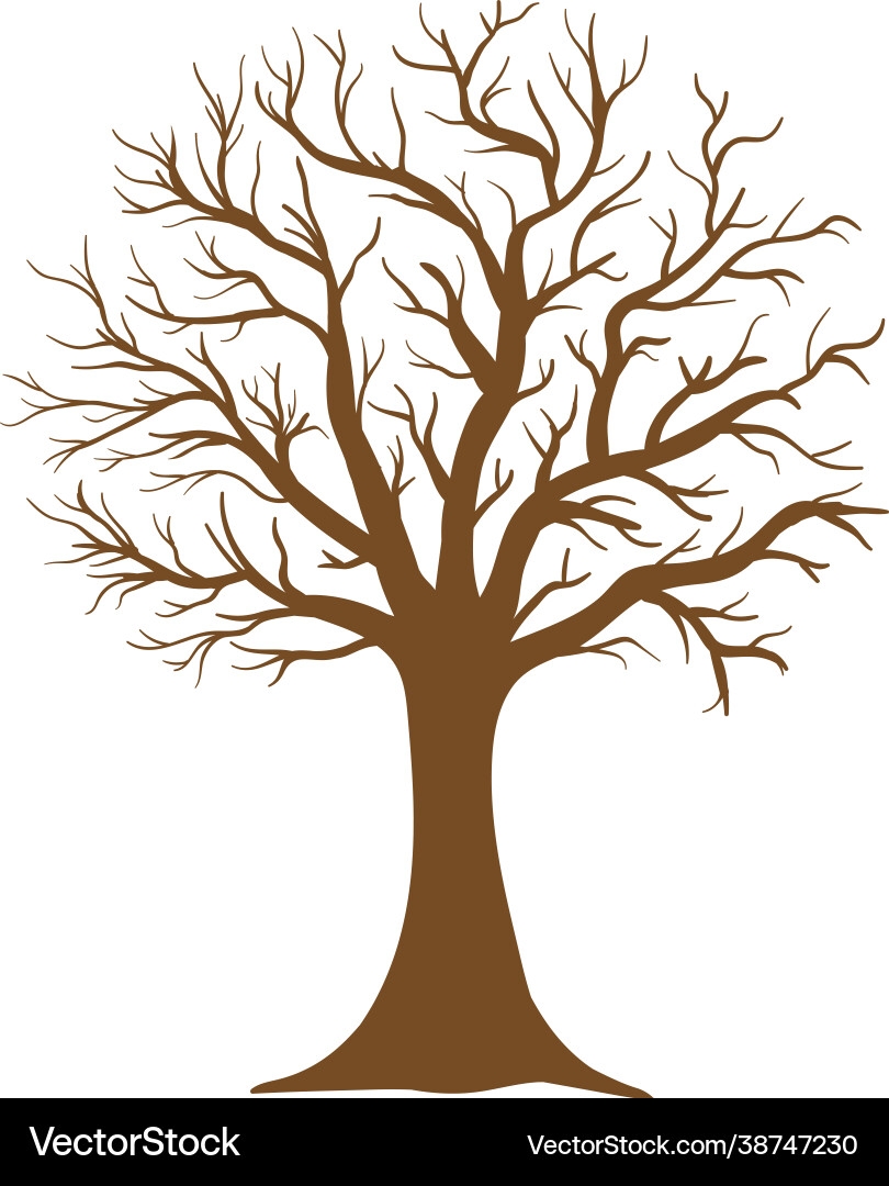 Leafless Tree Icon Vector Images over 510 