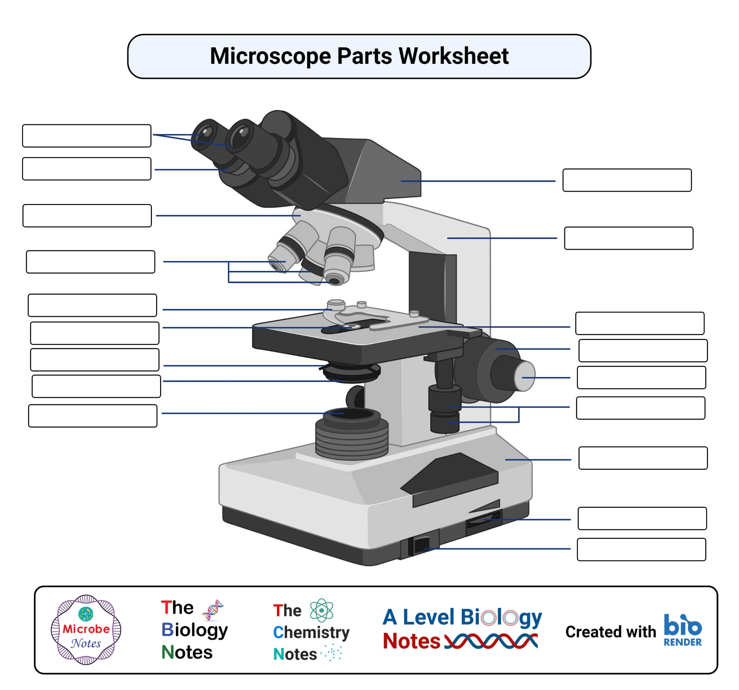 Parts Of A Microscope Unlabeled