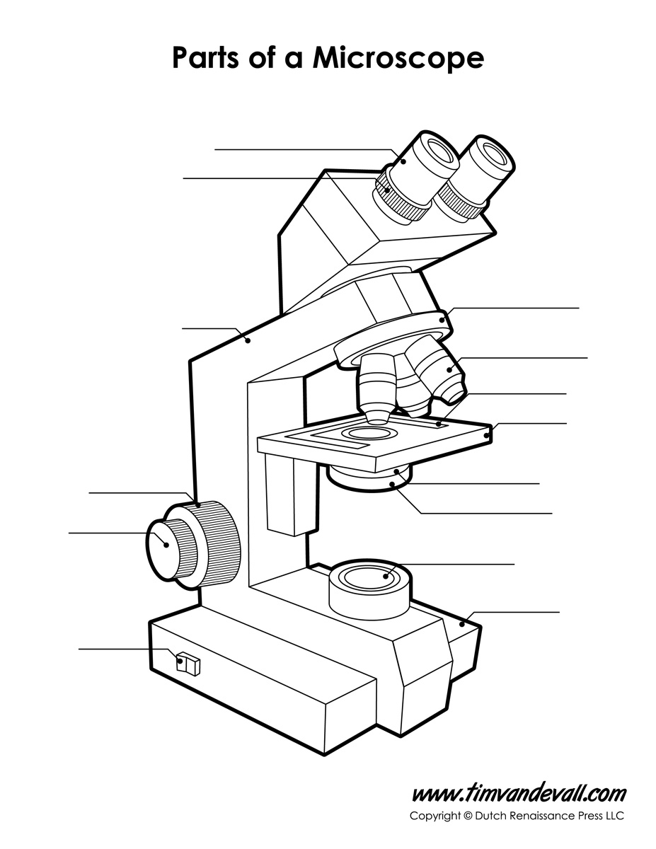 Microscope Diagram Labeled Unlabeled And Blank Parts Of A Microscope