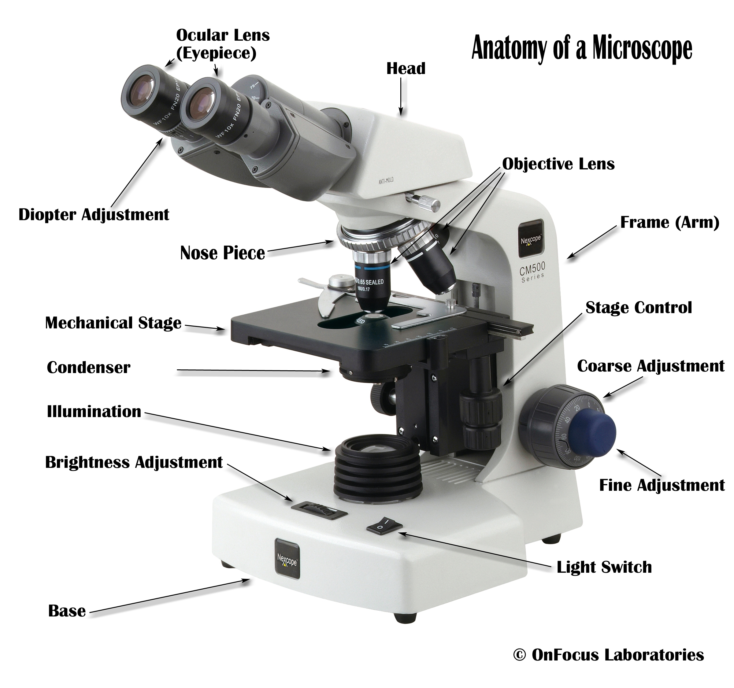 Diagram Of A Labeled Microscope