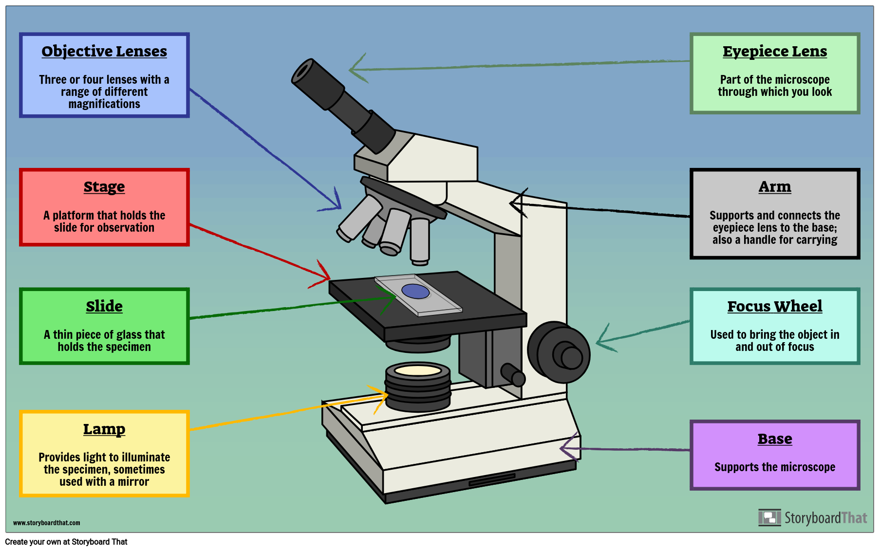 Microscope Parts Labeling Activity Storyboard That