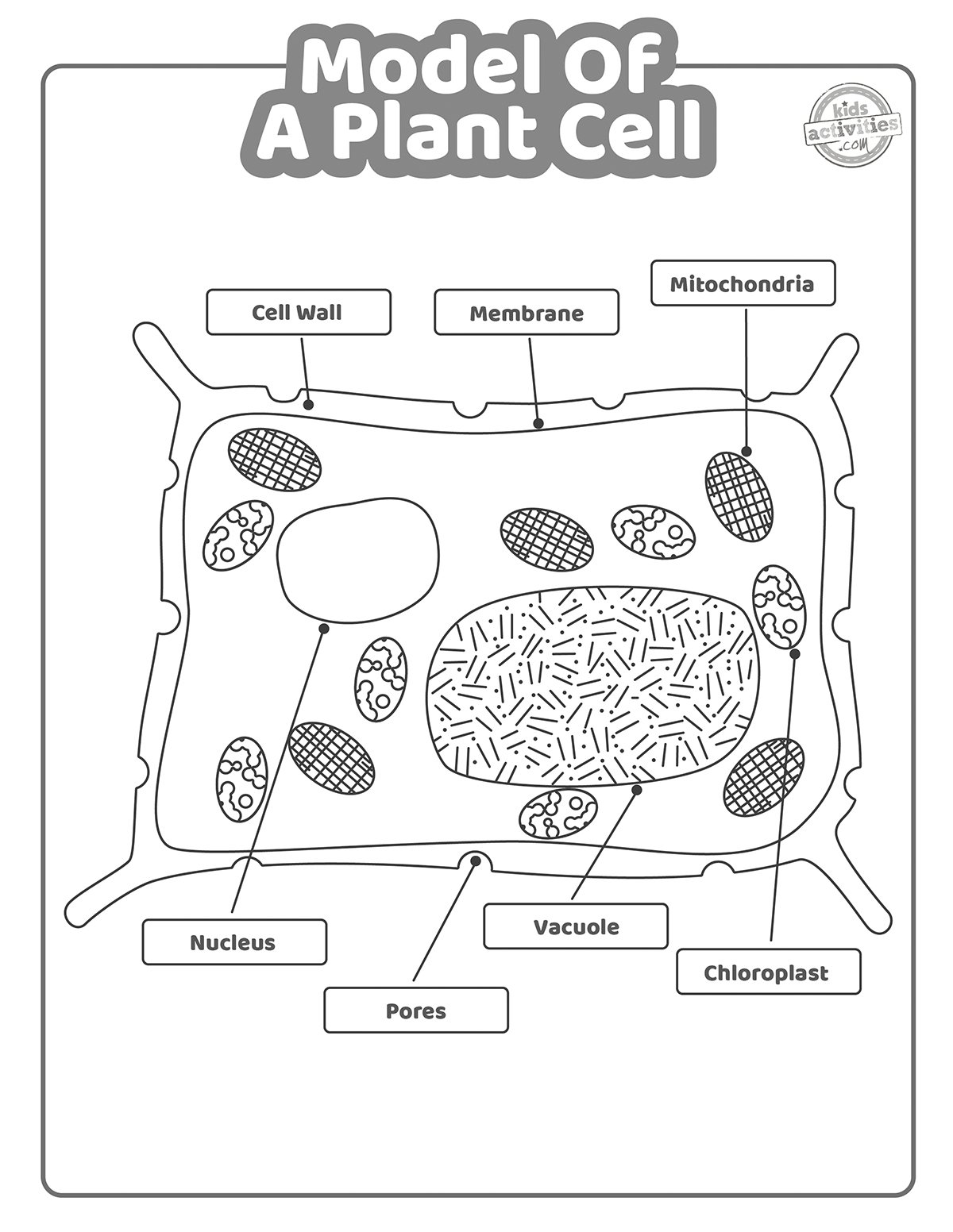 Plant Cell Black And White