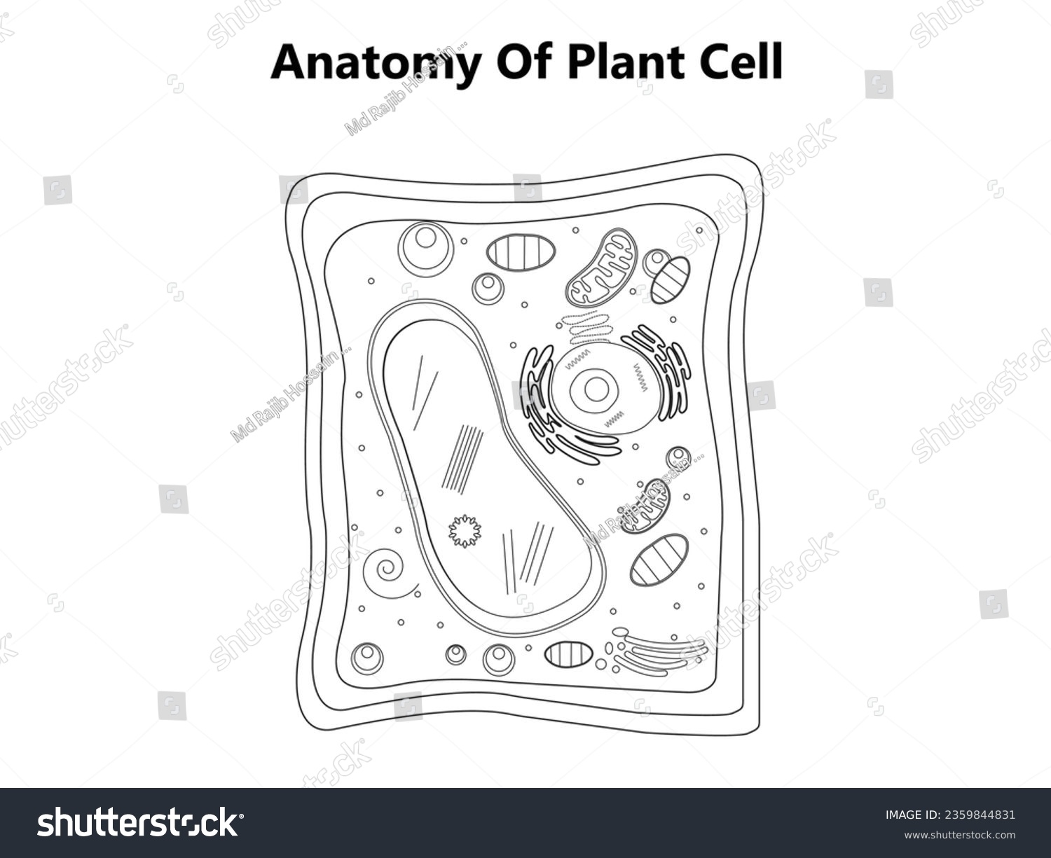Plant Cell Structure Anatomy Infographic Diagram Stock Vector Royalty Free 2359844831 Shutterstock