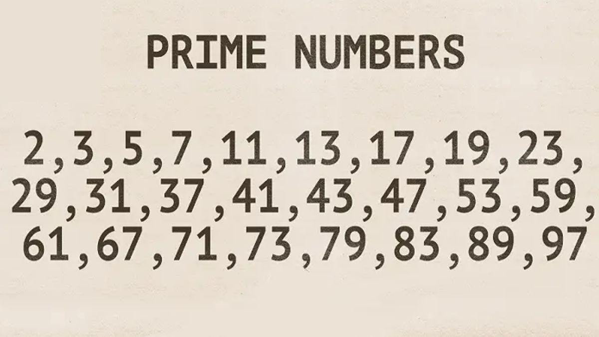 Prime Numbers Chart From 1 To 100