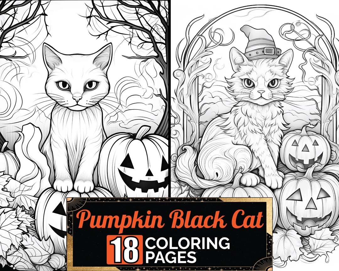 Pumpkin Sitting Black Cat Coloring Book 18 Greyscale Adult Kids Detailed Halloween Theme Page A4 Sheet Printable Digital PDF Download Etsy