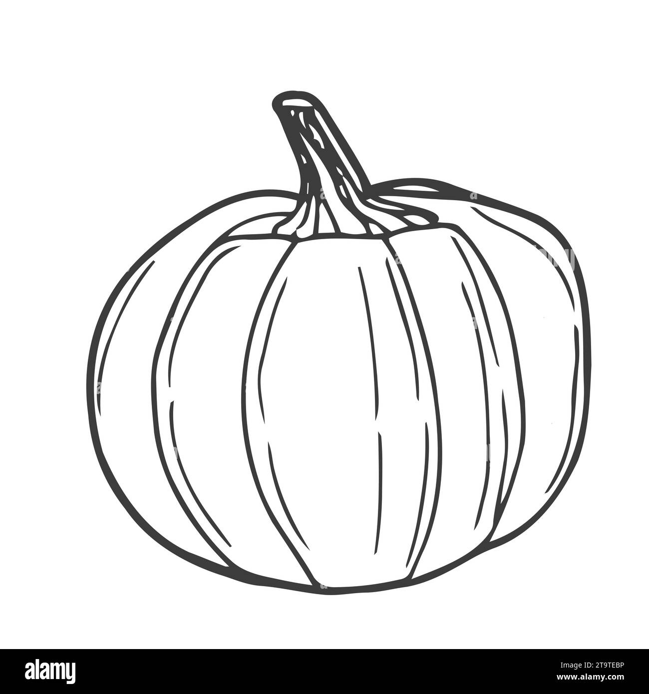 Stem Of Pumpkin Black And White Stock Photos Images Page 2 Alamy