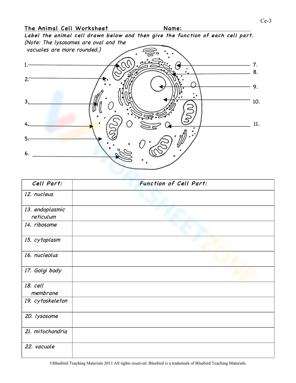 Fill In The Blank Animal Cell