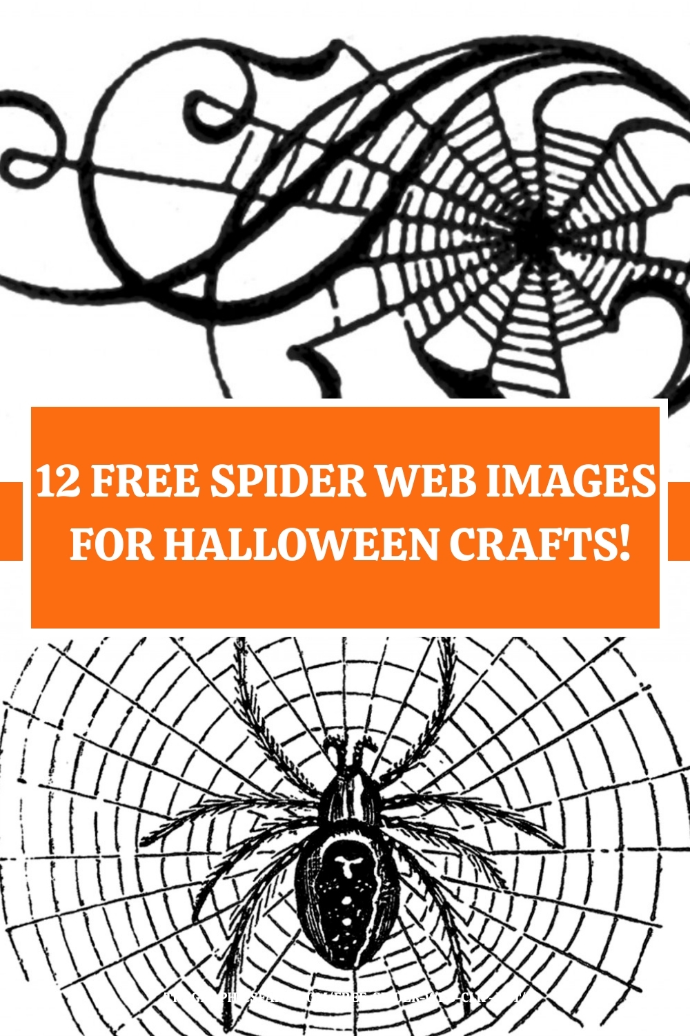 12 Spider Web Clipart The Graphics Fairy