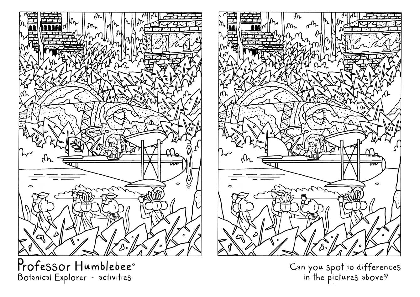 Activity Sheets The Worldwide Society Of Scientists