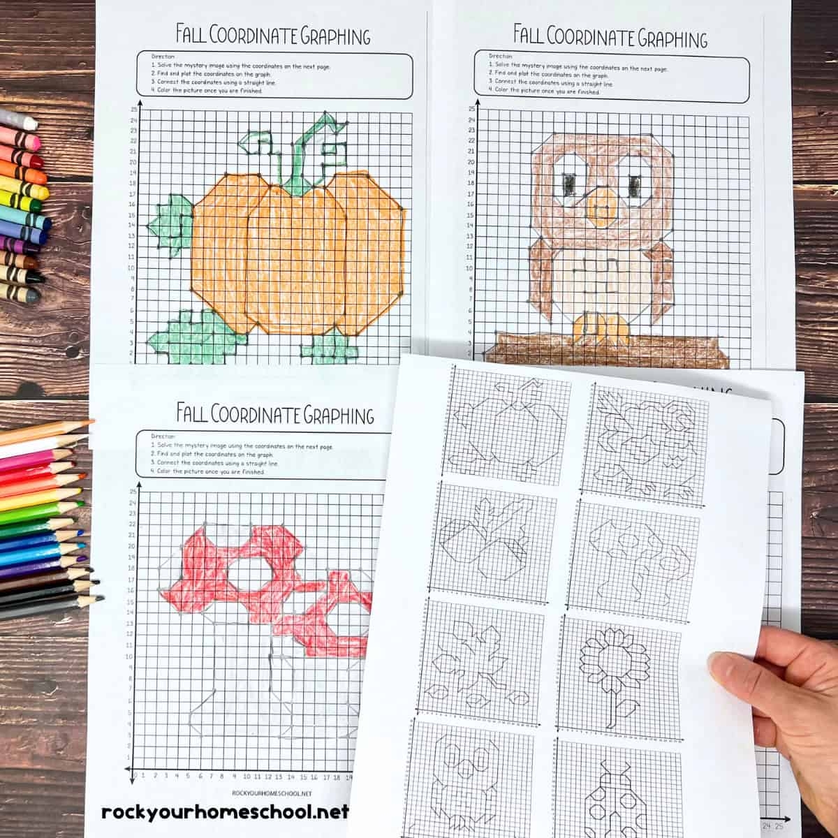 Free Printable Coordinate Graphing Pictures Worksheets
