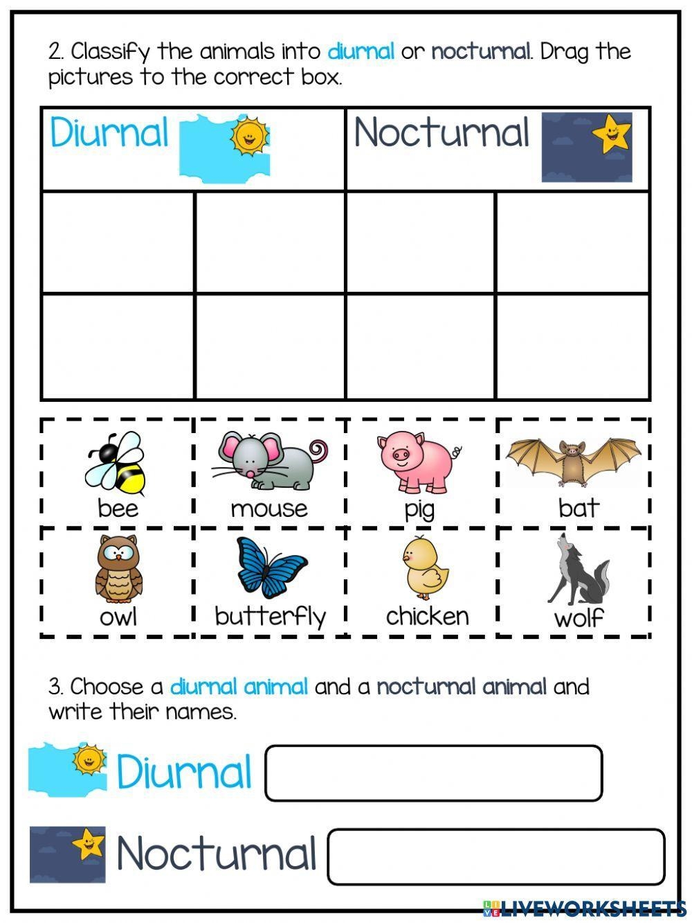Nocturnal Animals Free Printables