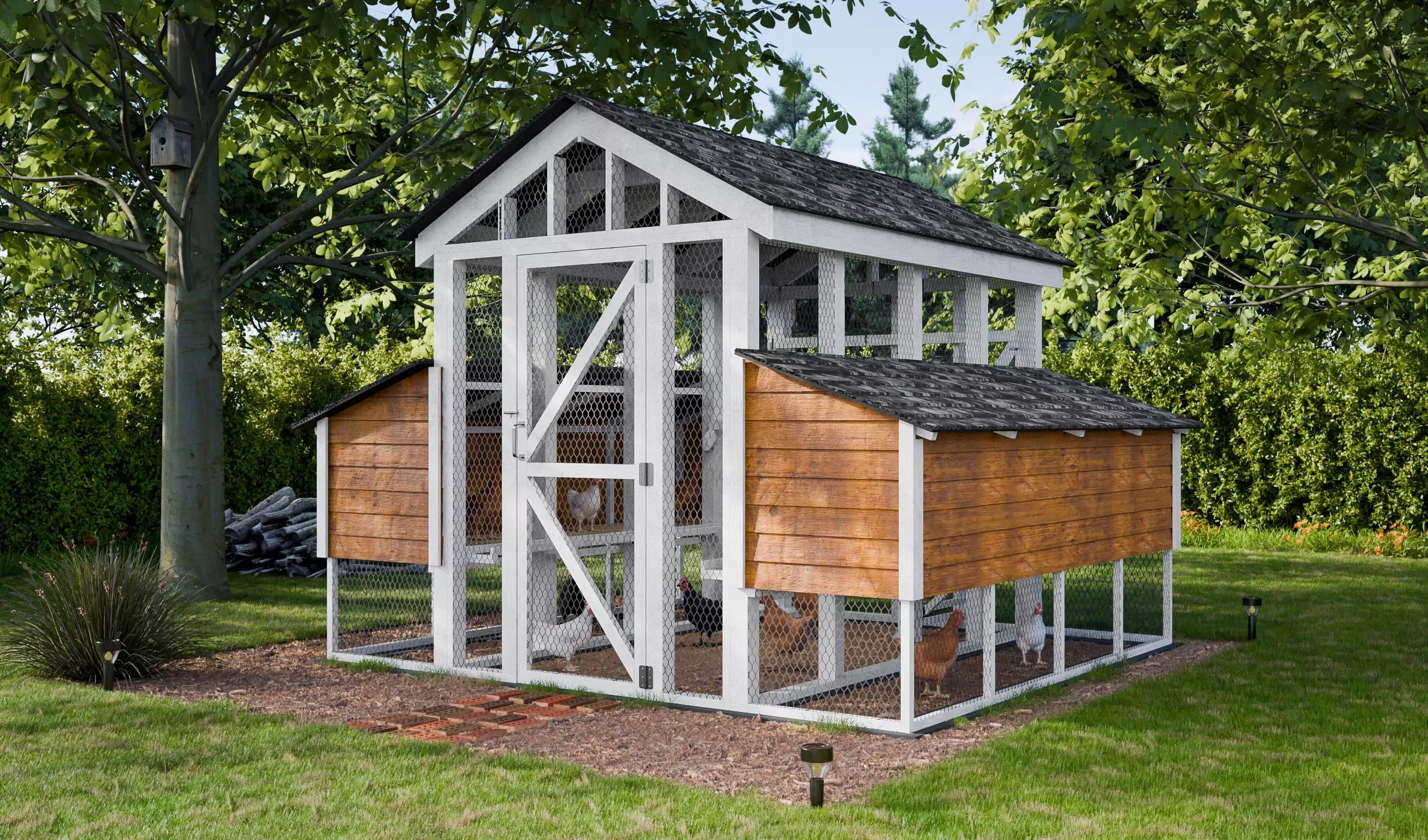 Free Printable Chicken Coop Plans