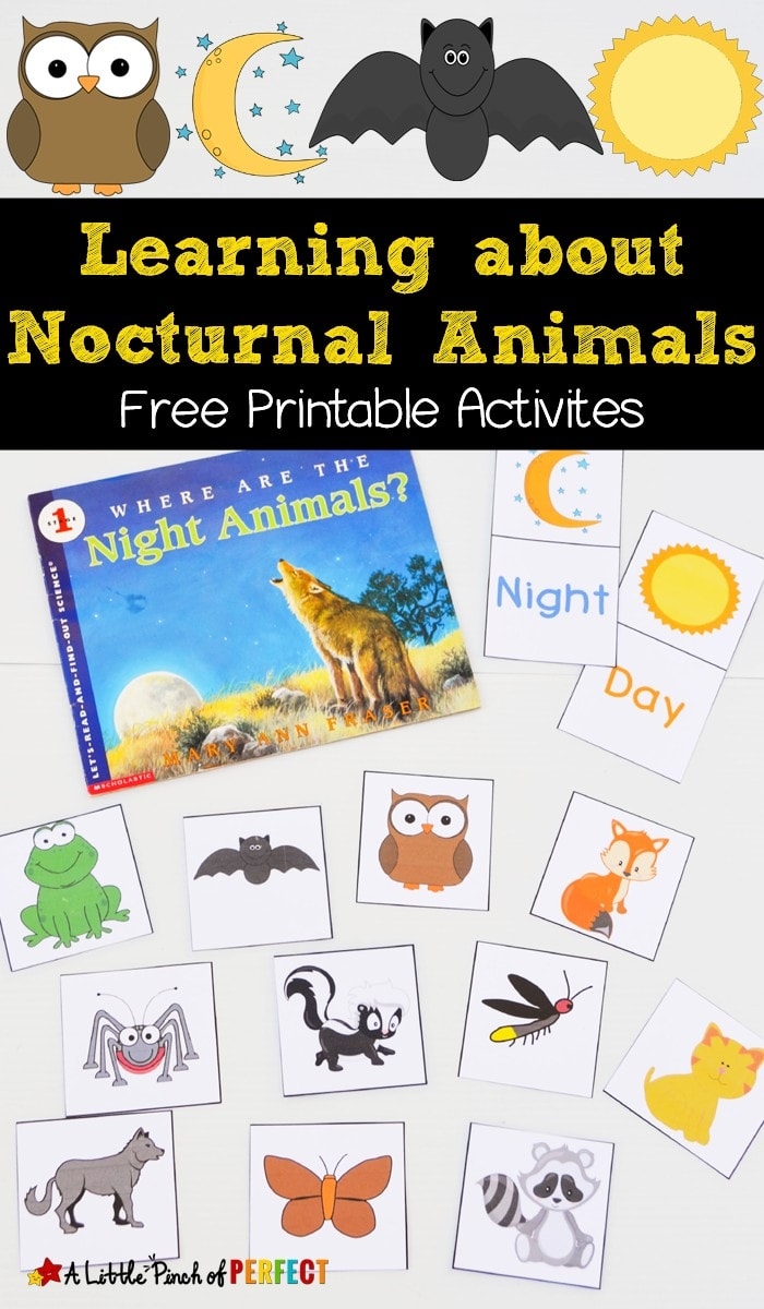 Learning About Nocturnal Animals Free Printable Activities A Little Pinch Of Perfect