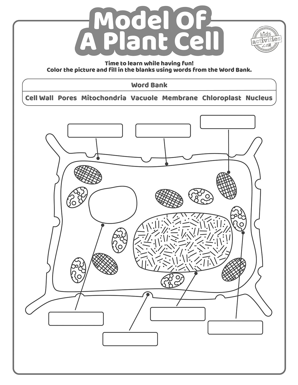 Blank Diagram Of Plant Cell