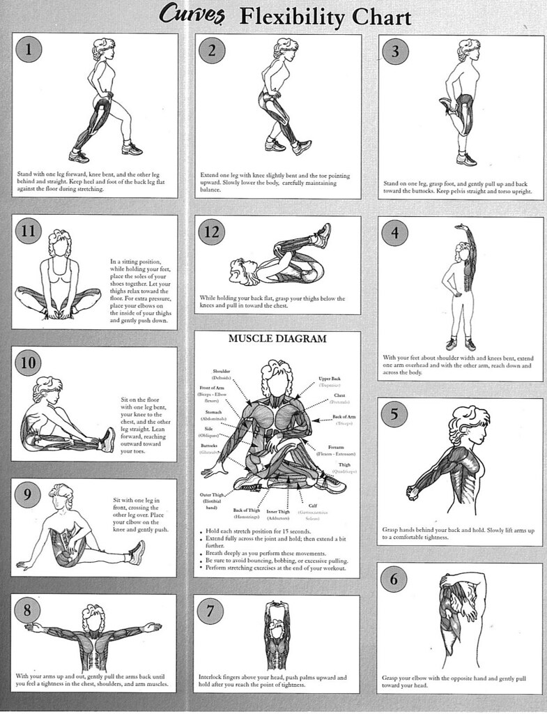 Stretching Charts Free Printable