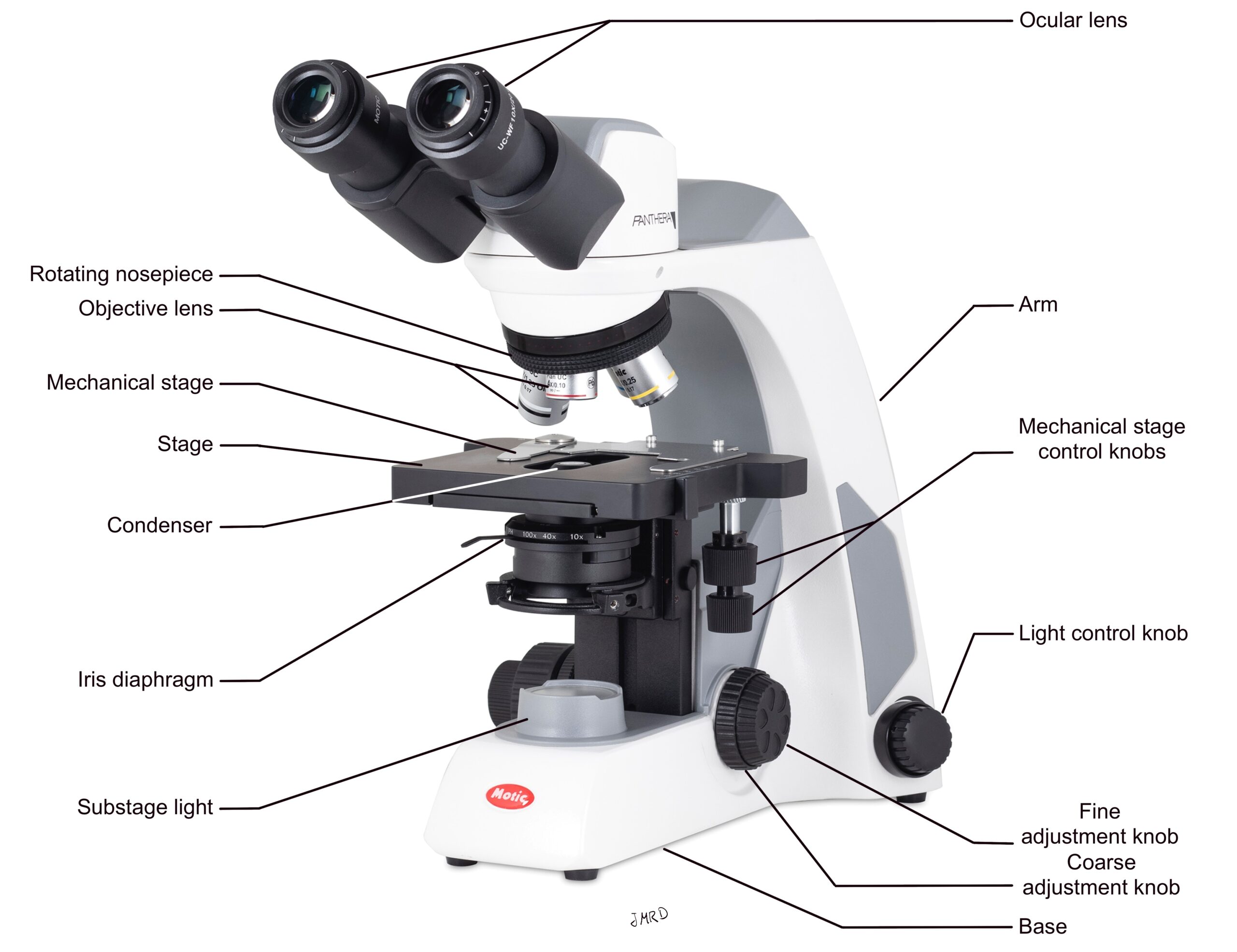 The Microscope Anatomy And Physiology II An Interactive Histology Atlas